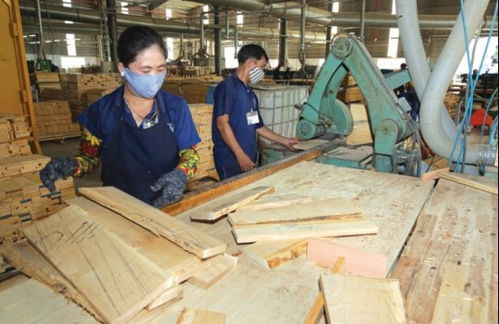 预计七八月越南木材与木制品出口将迎来复苏